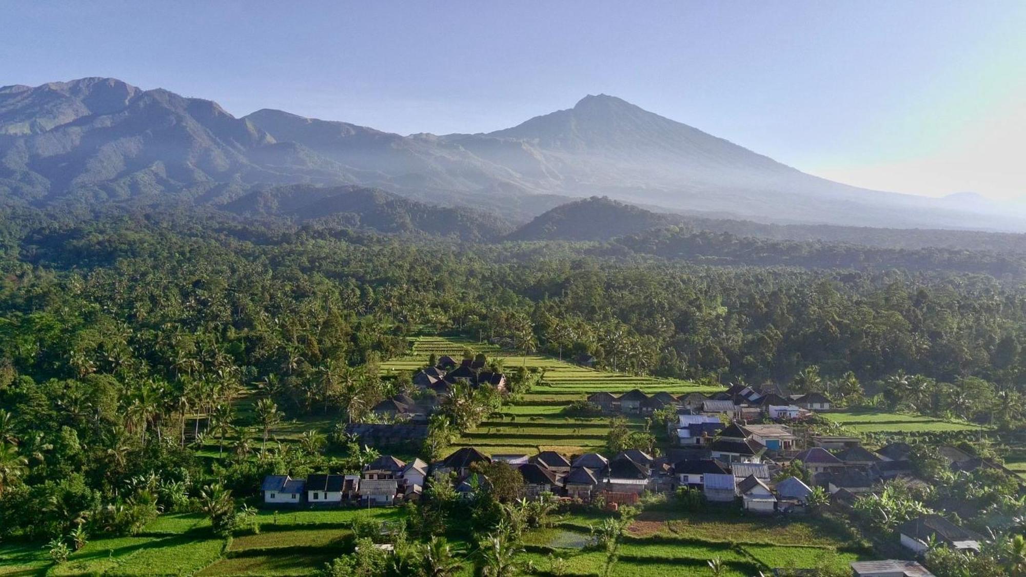 Raturinjani Homestay Selong Стая снимка