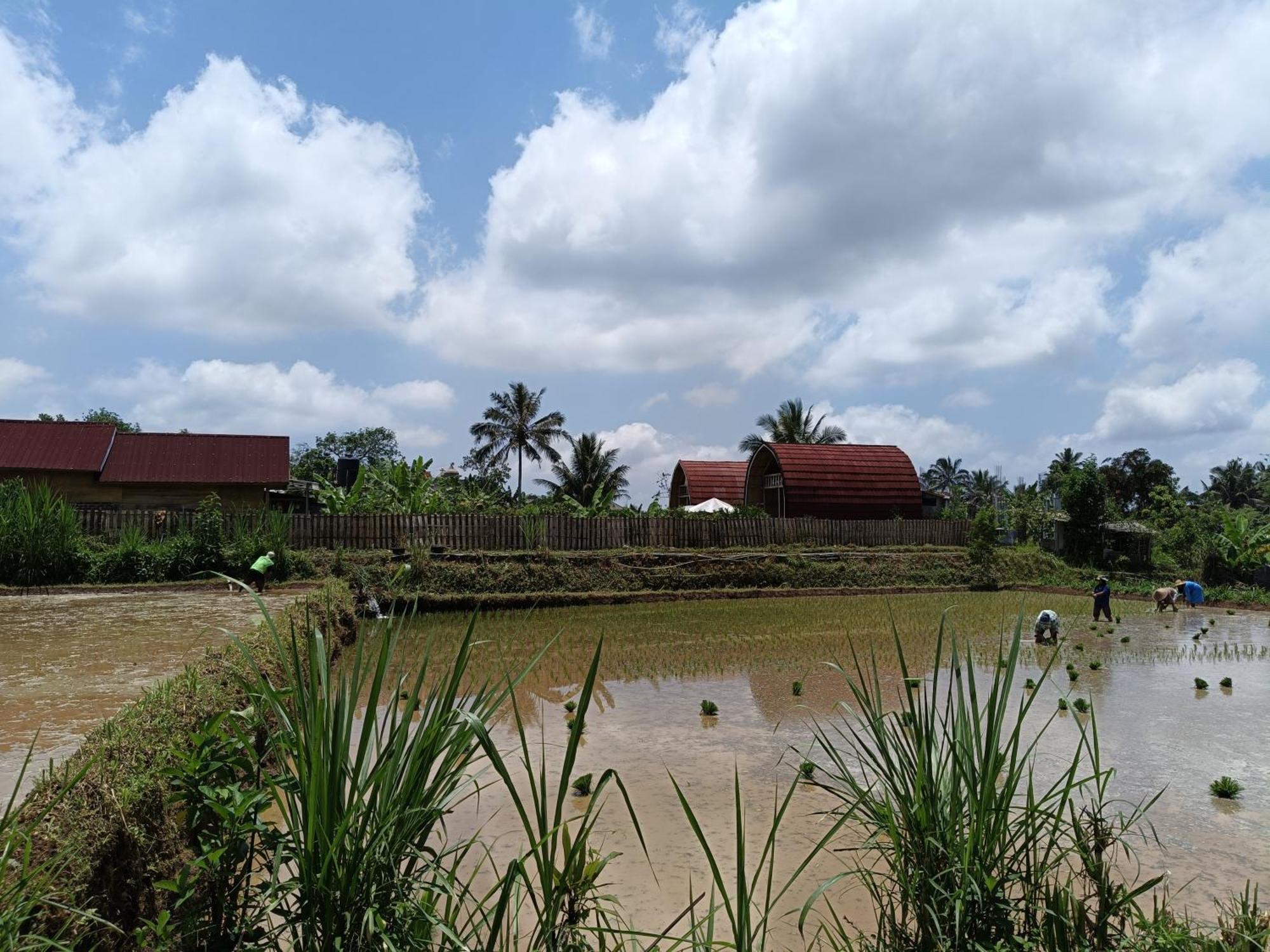 Raturinjani Homestay Selong Екстериор снимка